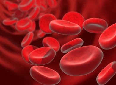 خلايا دم 3