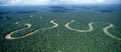 غابات الامازون 2