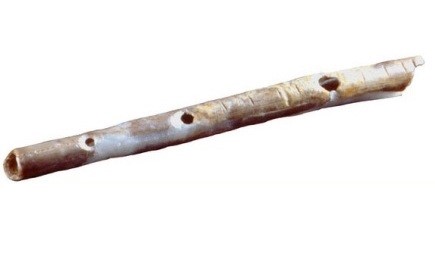 flute 4